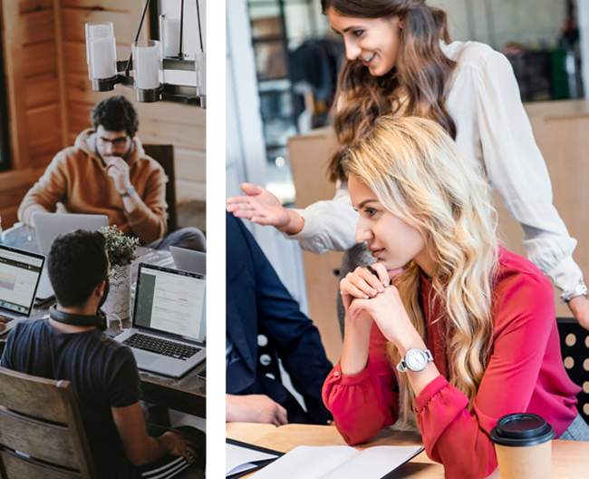 Equipe Ápice em trabalho